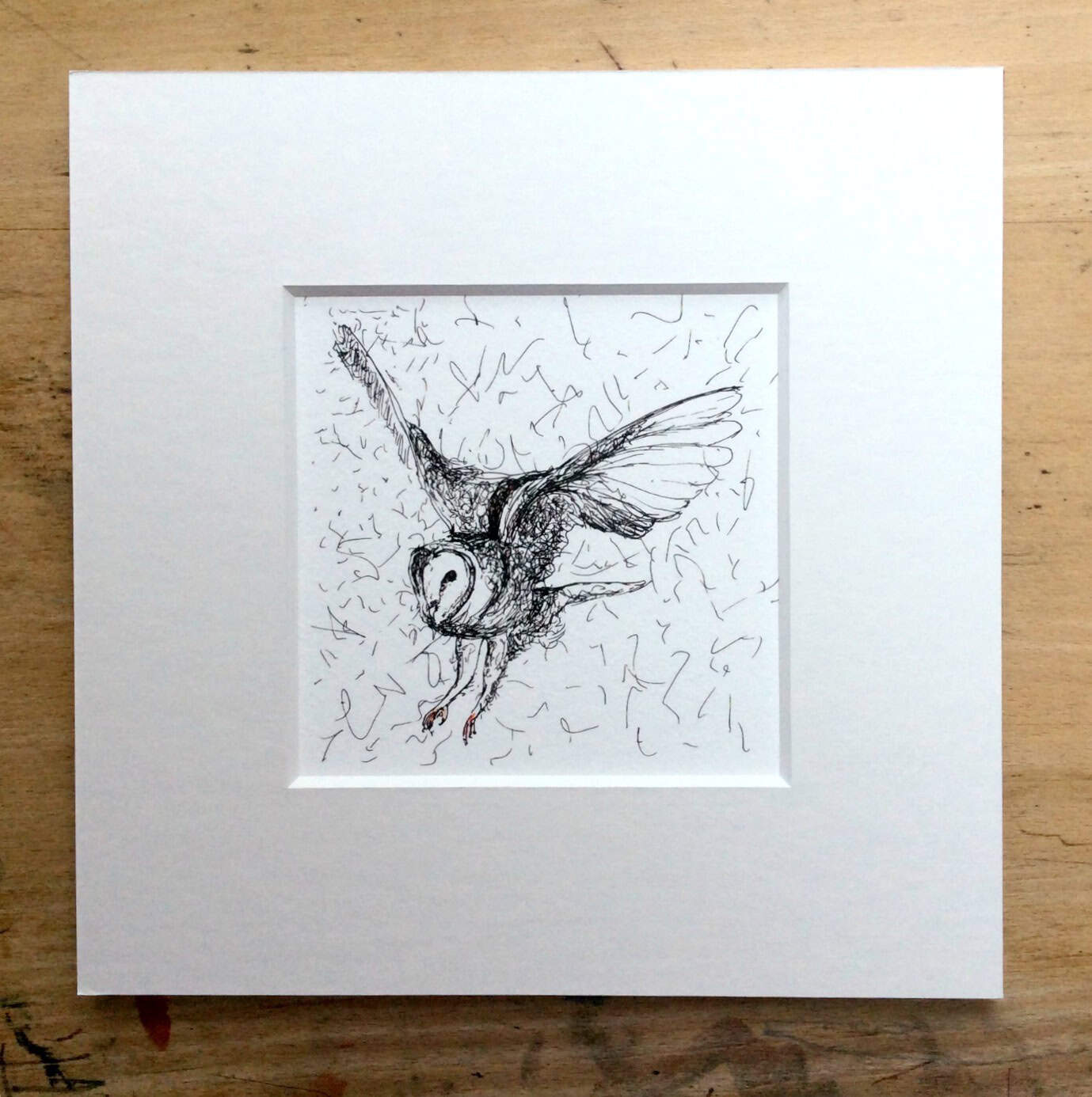 Solo Owl Print.jpg
