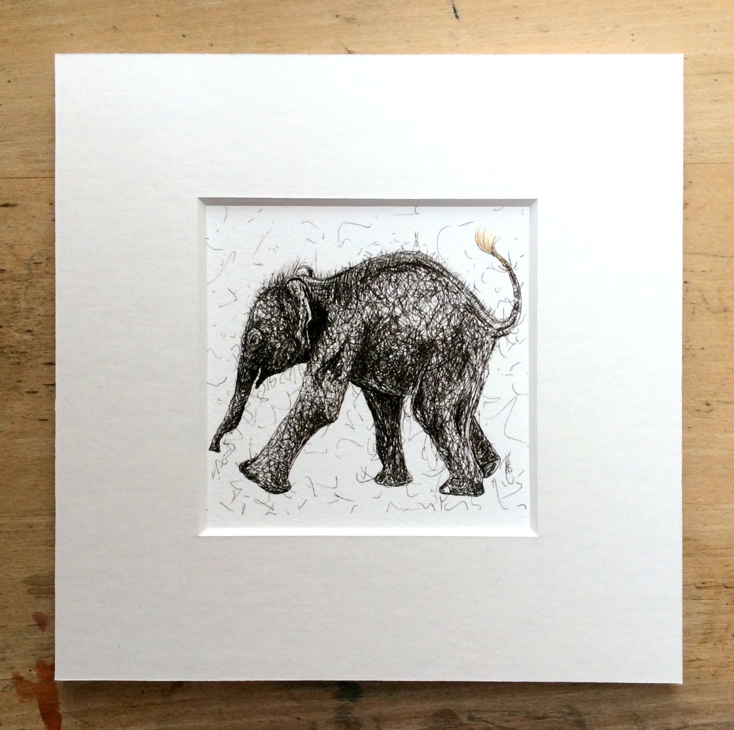 Solo Range Elephant Print.jpg