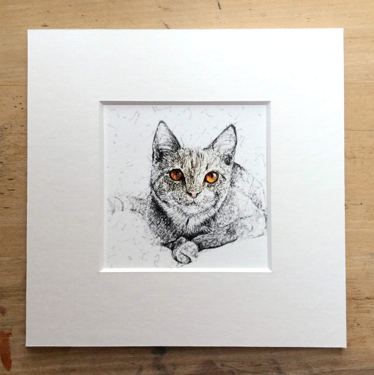 Solo Amber Eyes Print.jpg