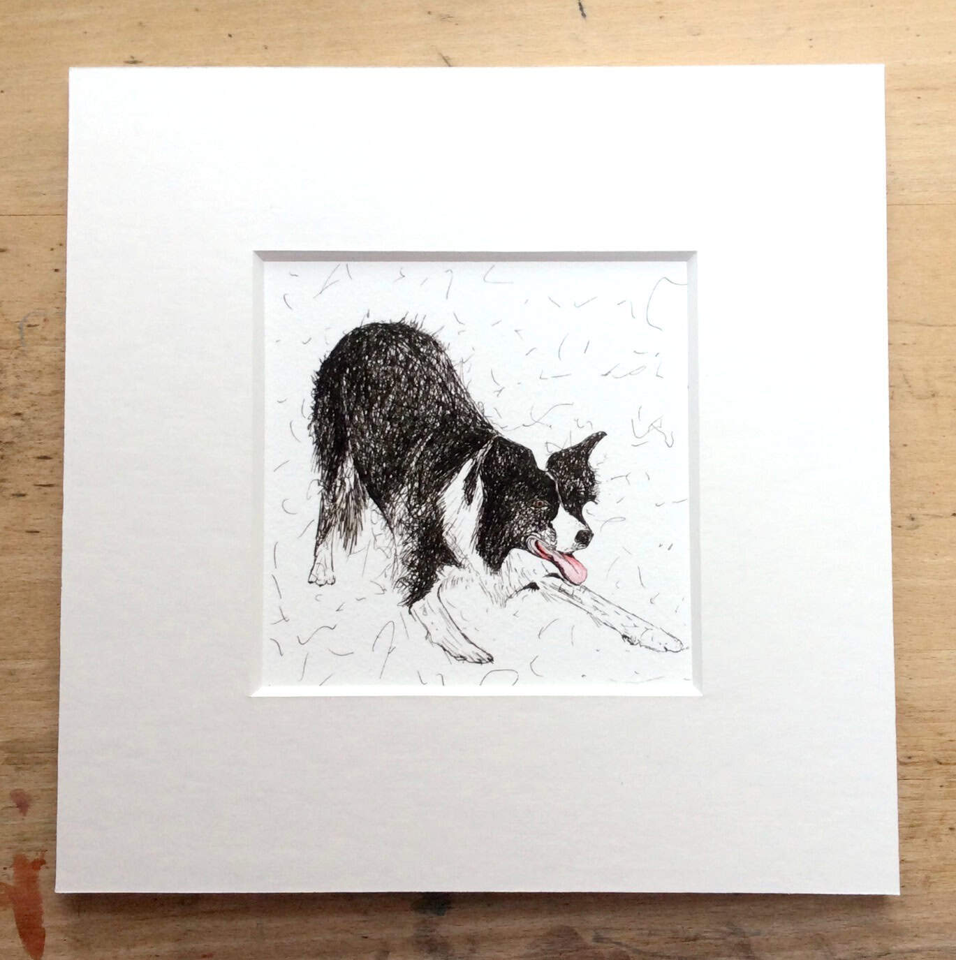 Solo Range Collie Print.jpg