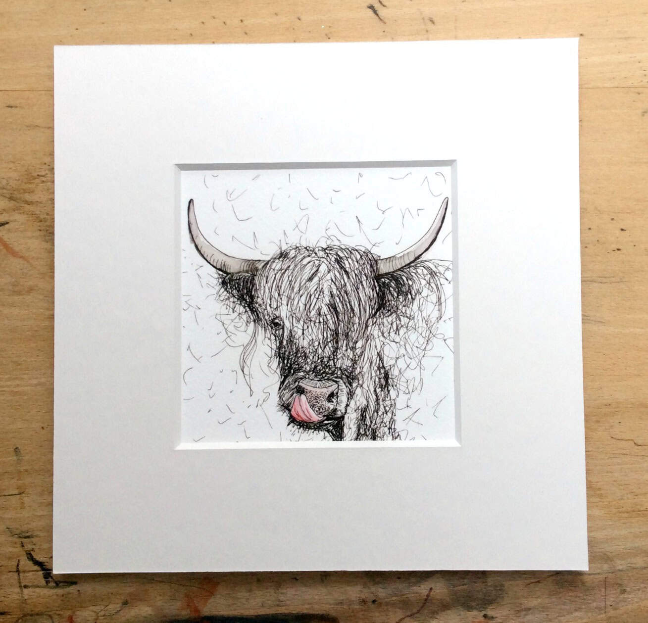 Solo Cheeky cow print.jpg