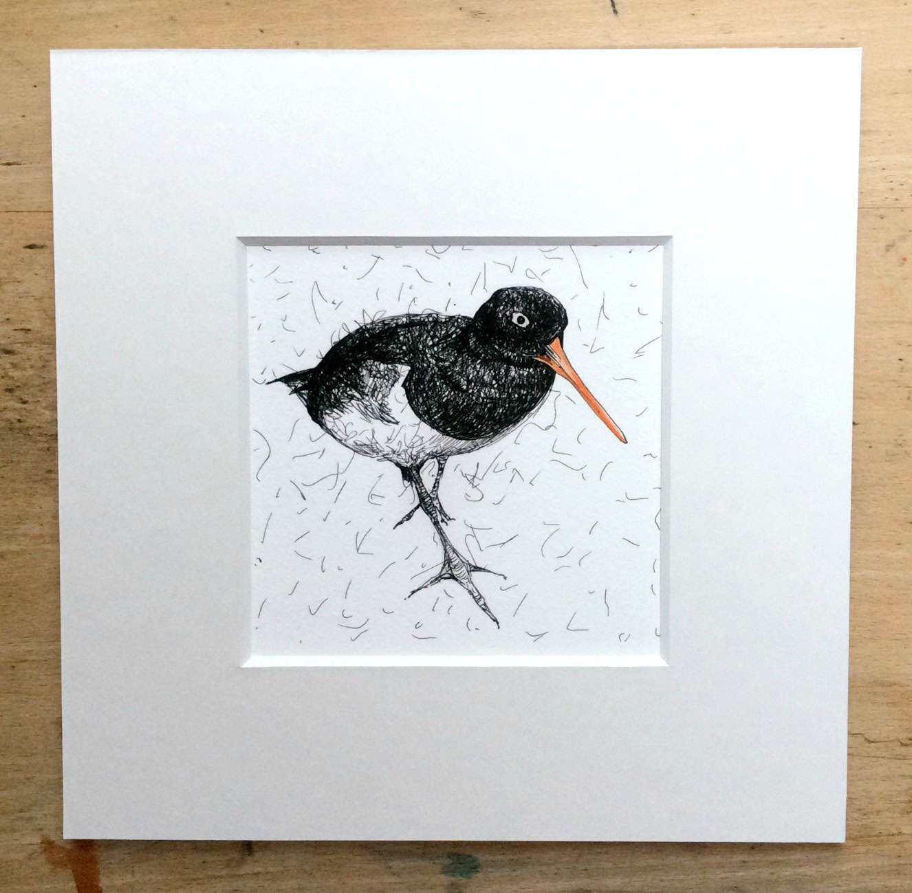 Solo Oyster Catcher Print.jpg