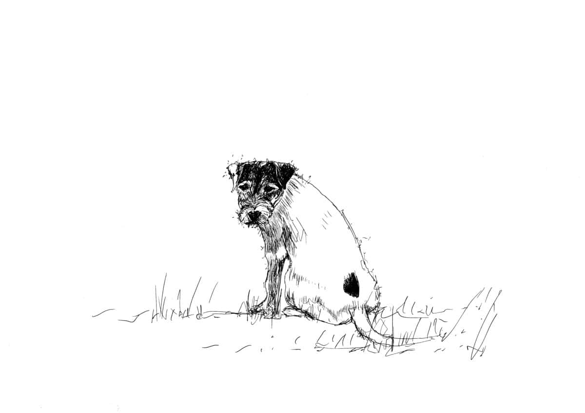 Heartjackrussell.jpg