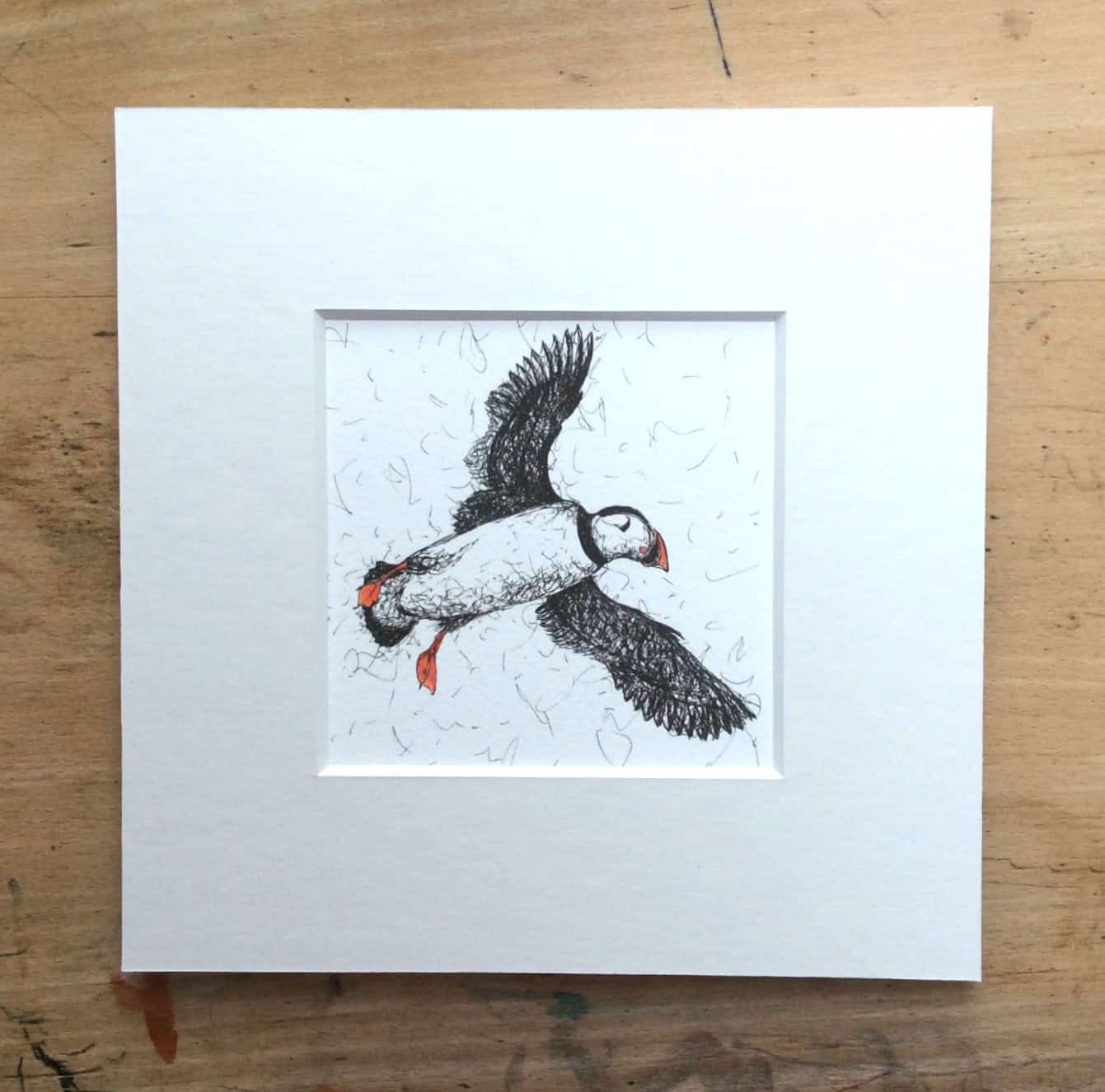 Solo Range Puffin Print.jpg